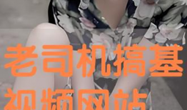 搞基视频网站,内容解析与行业反思