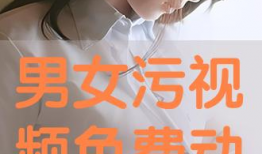 男女视频免费,探索视觉艺术的无限魅力